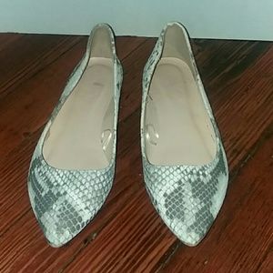 Charolette Russe "snake skin" flats SZ 6